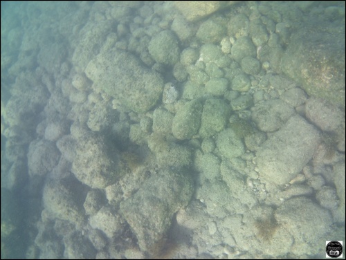 Grèce, vue sous-marine, de la mer Egée