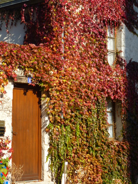 COULEURS D'AUTOMNE A BEAUGENCY