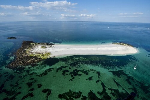 Îles au trésor