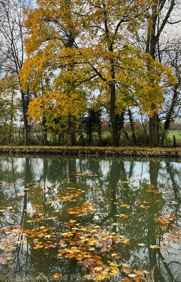 Le Canal Latéral à la Loire en automne 