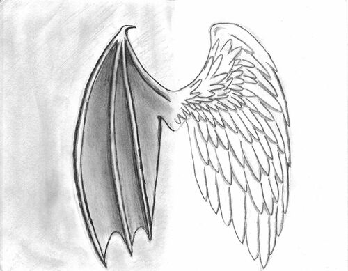 ailes démon et ange repliées