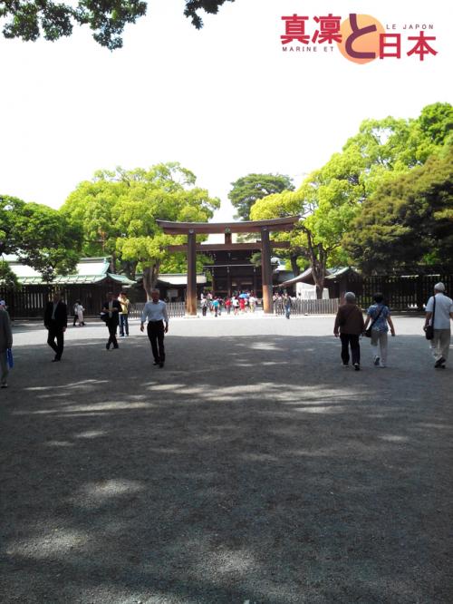 Meiji jingu, 2ème édition !