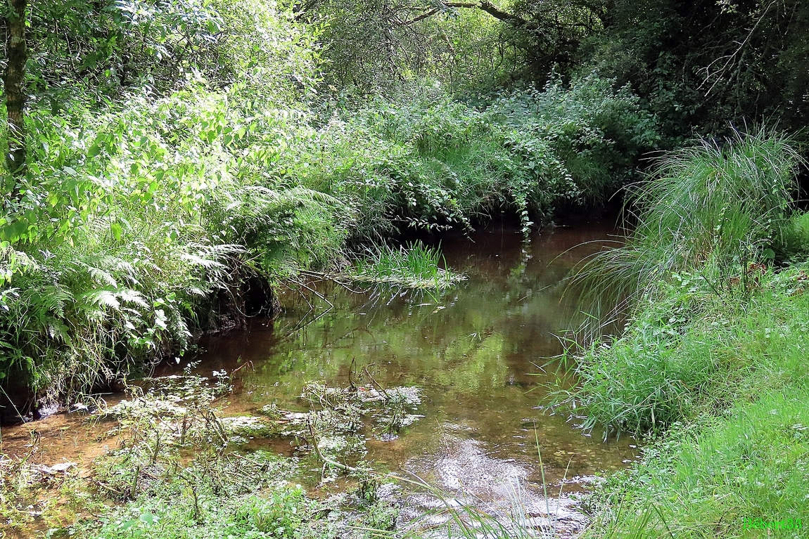 balade  à Bubry  (56)