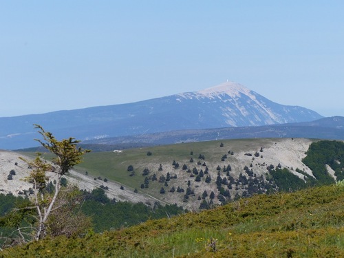 Le Contras (montagne de Lure)