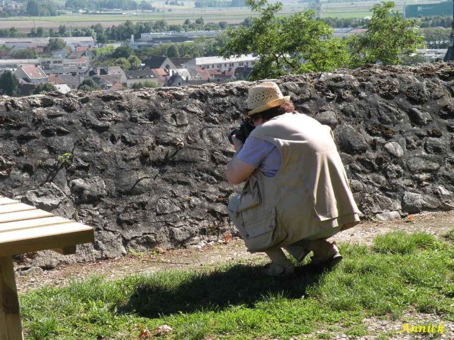 château-lézards-143-moi