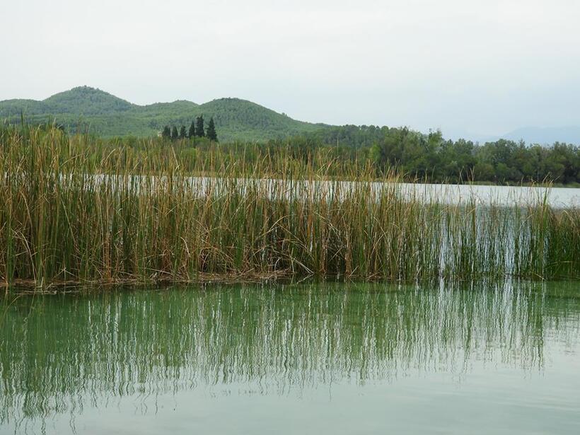 Lac de Banyoles