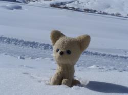 mascotte en montagne