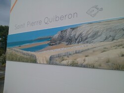 Saint-Pierre-Quiberon - Portivy La côte sauvage (Circuit jaune)