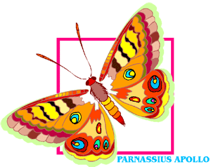 Image clipart Papillon