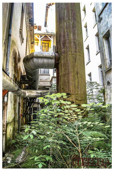 Sanatorium du pianiste