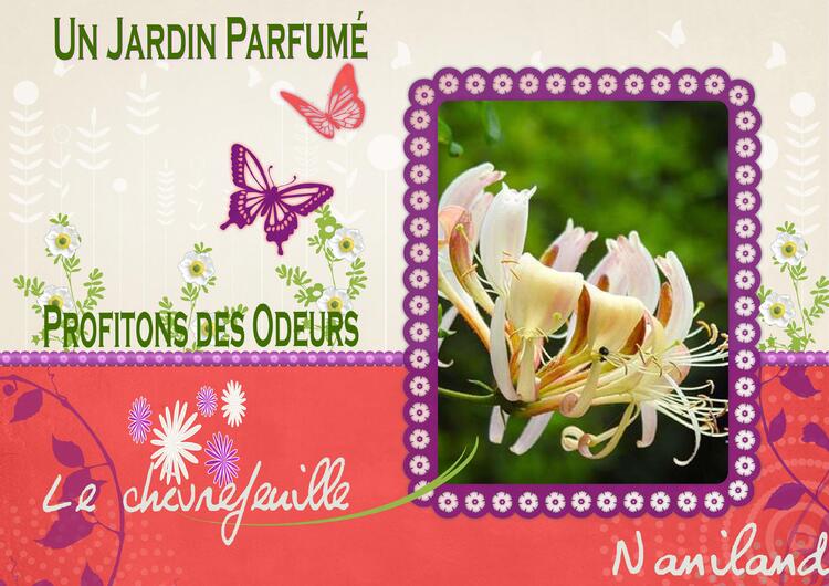 Un Jardin Parfumé .. !!!