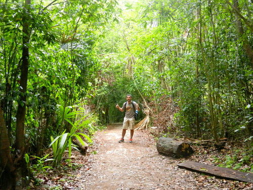 Tikal - Flores (Guatemala)