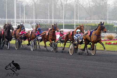 Prix de Juvigny