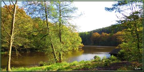 Couleurs de  saison ! 