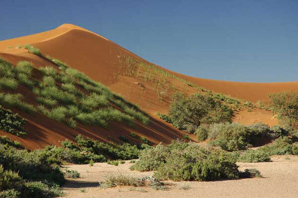 Desert du Namib
