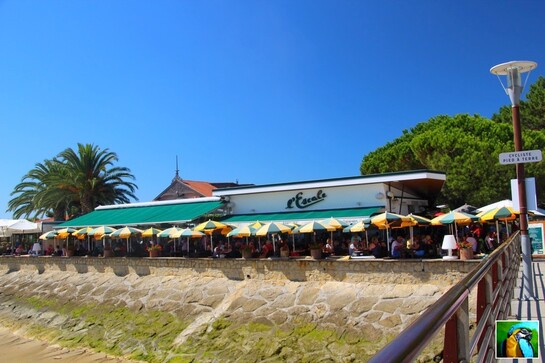 Tour du bassin d'Arcachon