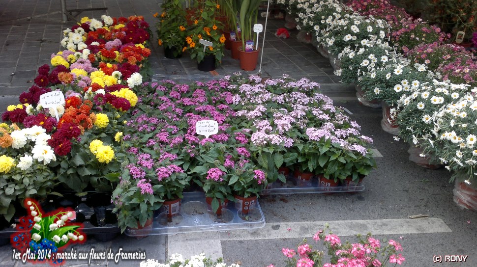 Marché du 1er mai a Frameries : 2ème partie