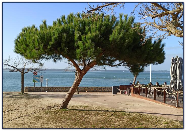 Arcachon : Sortie vélo - Le Moulleau