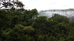 Les chutes d'Iguazu