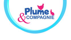 Plumes et compagnie