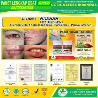 Northport telma h ingredients Northport telma h ingredients