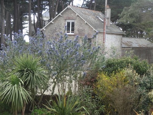 Le jardin vu du premier étage de la maison