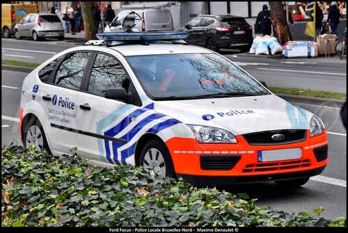 Les premiers "shoot" bleus de l'année...