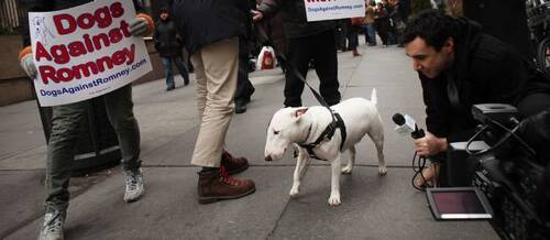 Mon chien a peur des gens... 