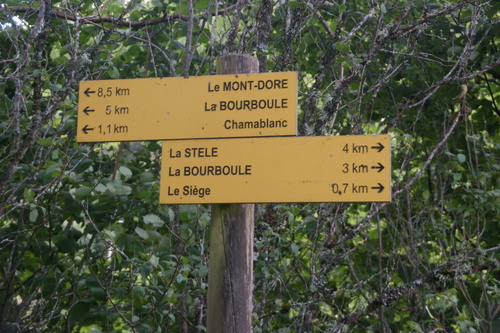 Randonnée.La Roche de Vendeix.La Bourboule.08.08.2021.12 kms