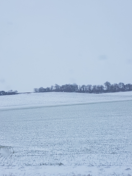 Neige dans le kochersberg