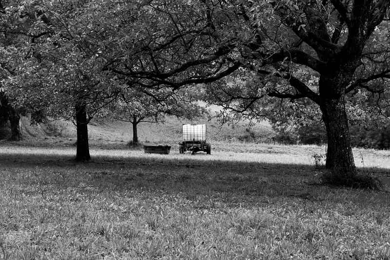 2022.08.19 Ballade autour du village de Bouvante (département Drôme) 1