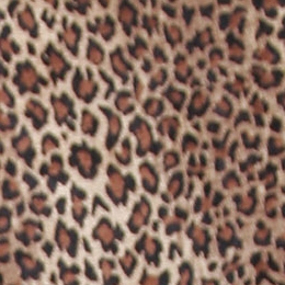 Texture de léopard