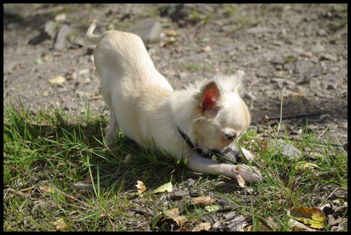 Balade dans la nature