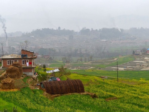 les rizières de la vallée de Kathmandu