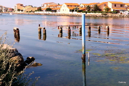 Barcarès : des reflets dans l’eau de l’étang