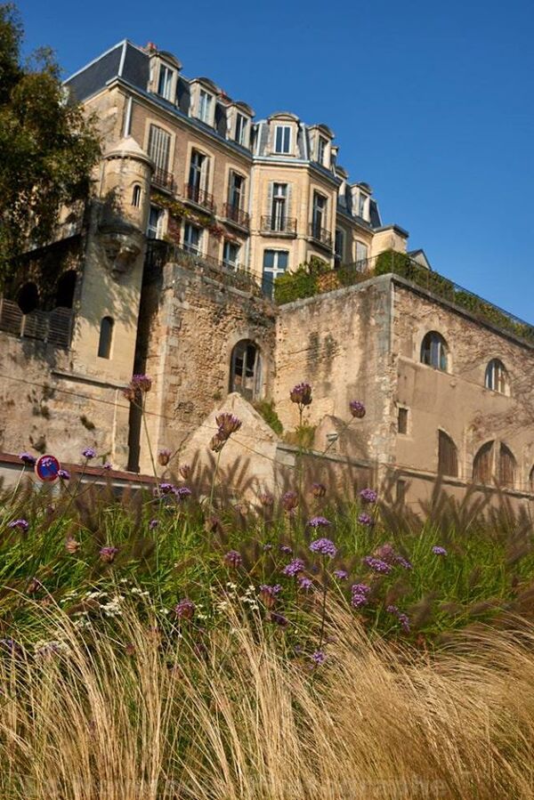 Fleurs et jardins de Nevers