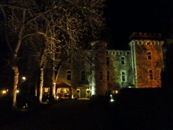Le château de nuit