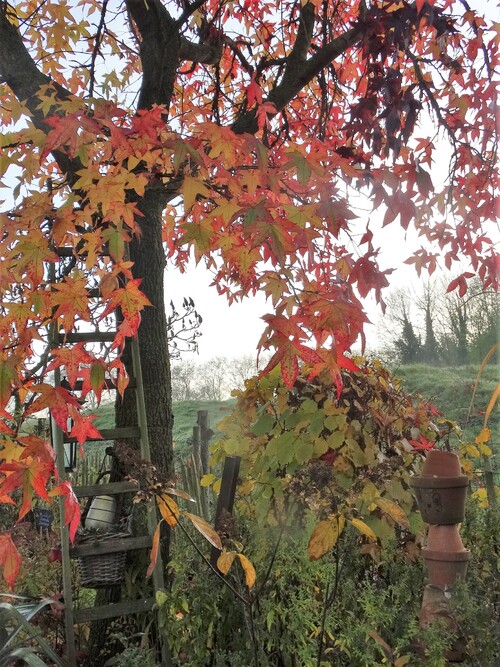 Belle journée d'automne