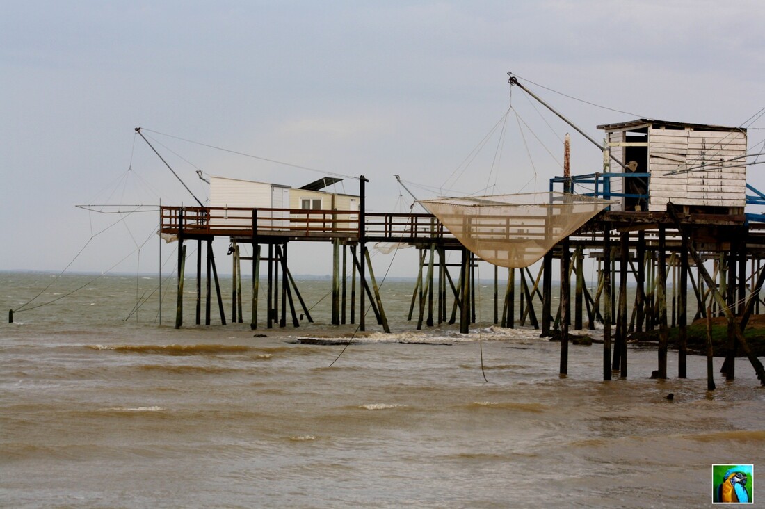 La traversée et arrivée a  MESCHERS en Charente Maritime.