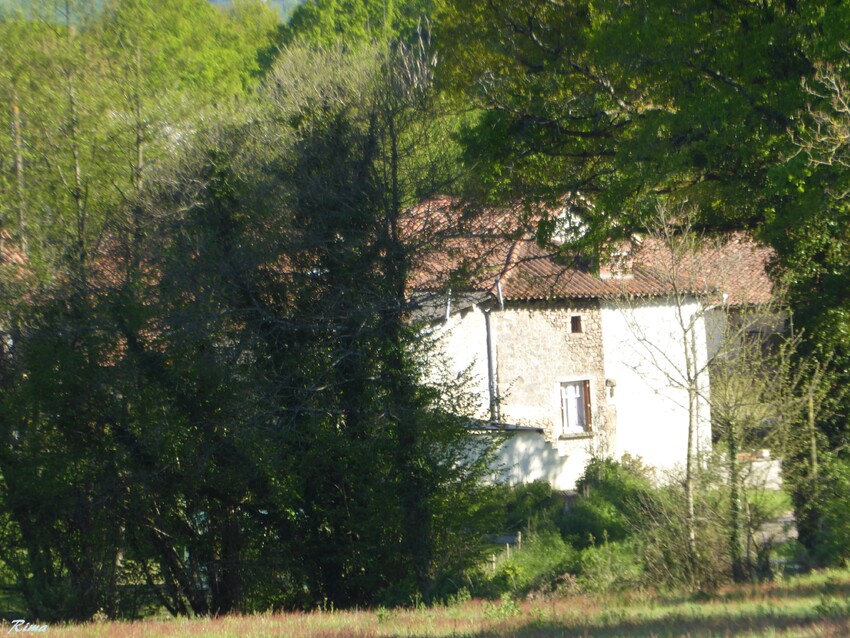 Au fil de ma balade à LESSAC Charente,