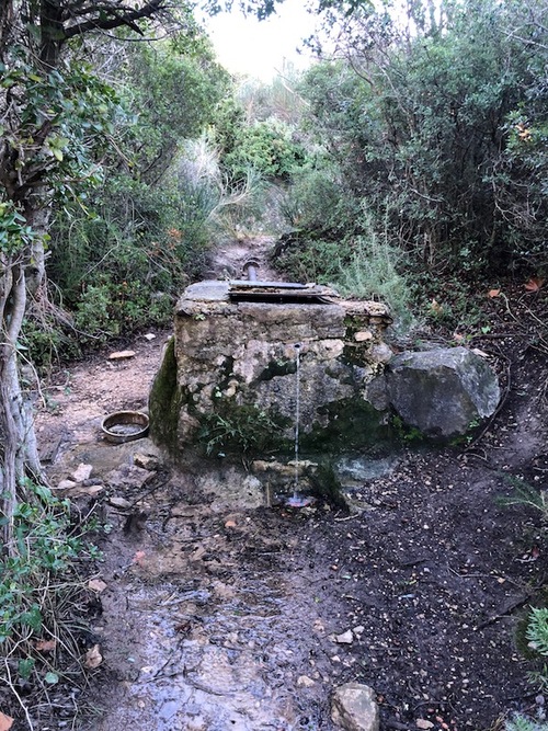 Vallon des Seignors - Bergerie de Tuny