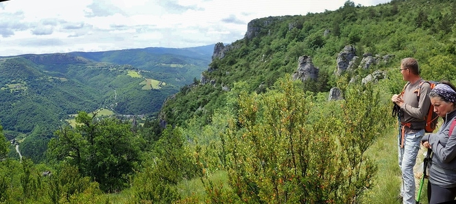 saison 2019-20 en depression je cherche mon chemin