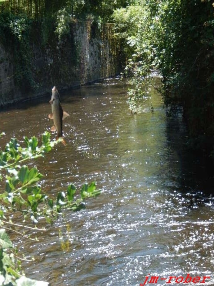 Limoges ; le quartier des Ponticauds et sa 32ème fête des ponts ( 1/2)