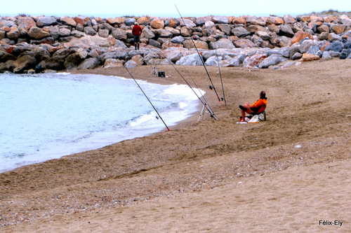 Promenade à Sainte Marie la Mer ... (2)