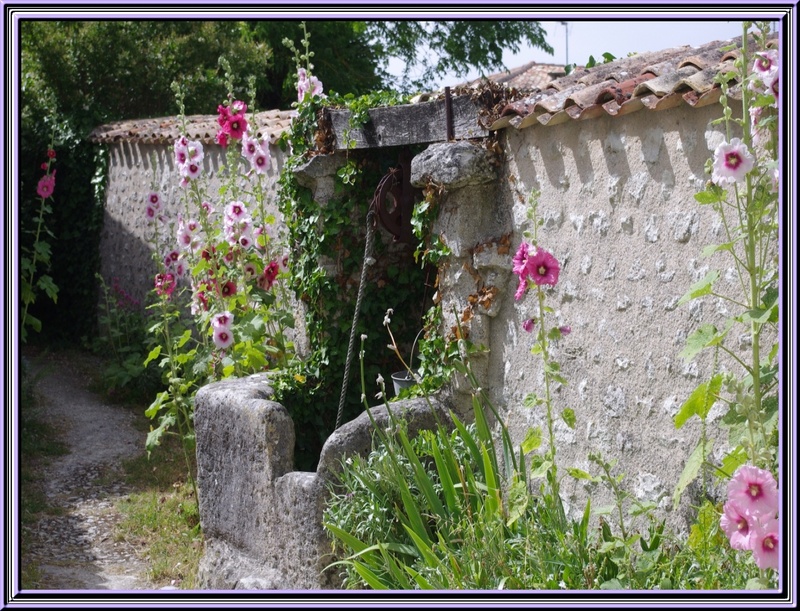 Talmont sur gironde (Charente Maritime)