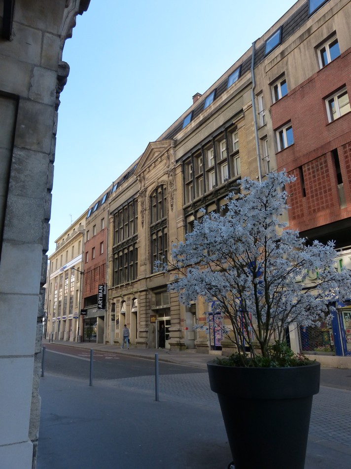 Rue des Jacobins 