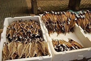 Alcobaça Portugal - Le marché 1