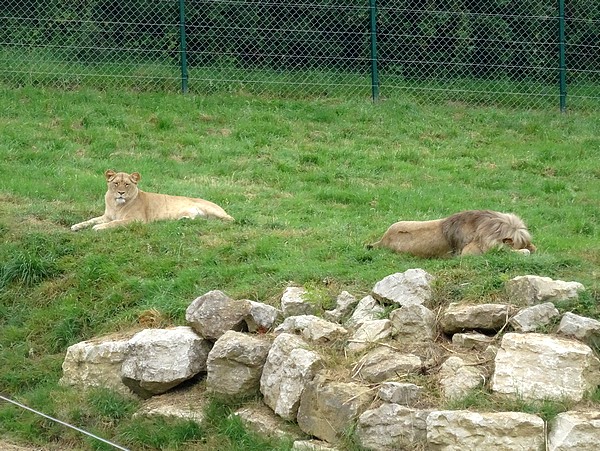 Des nouveautés au Parc de l'Auxois....