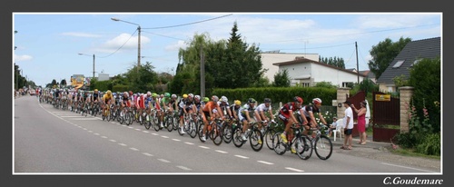 Tour de France ( 12 )