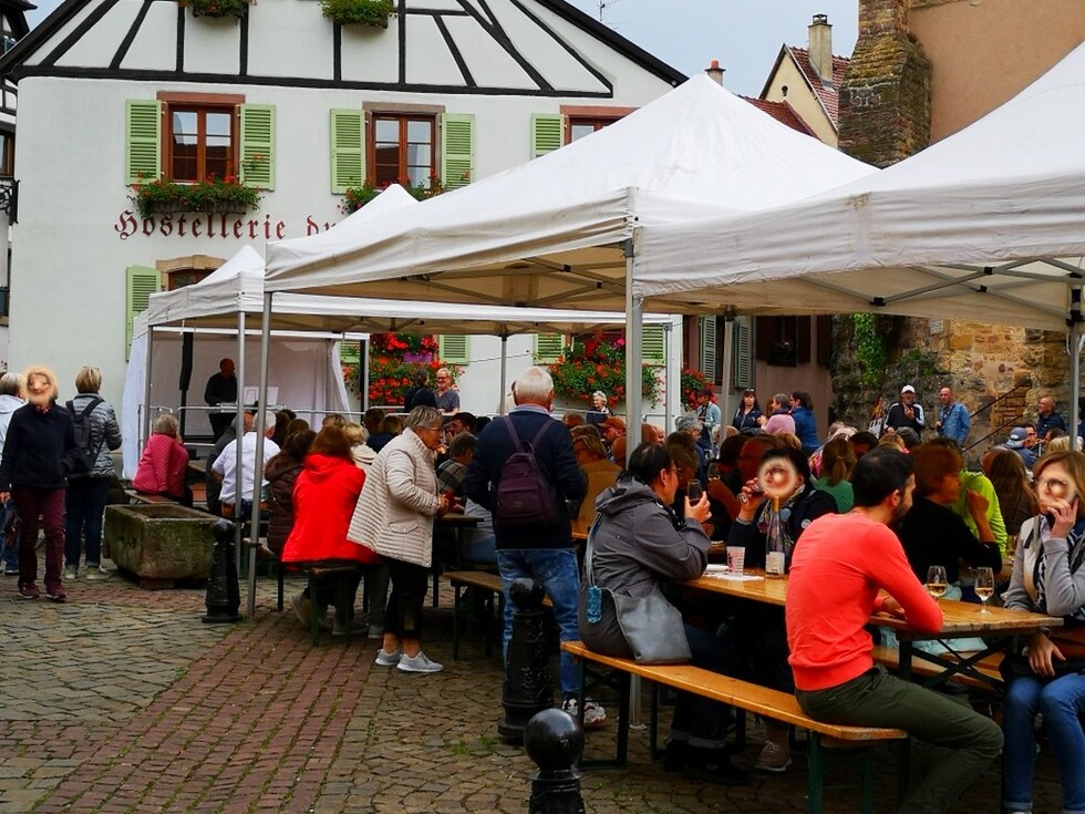 Alsace : Eguisheim : caveau d'Eguisheim, vin nouveau, Wolfberger